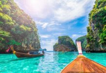 Koh Phi Phi – All you need to know Paradise island The Impact of Elephant Tourism on Conservation Efforts