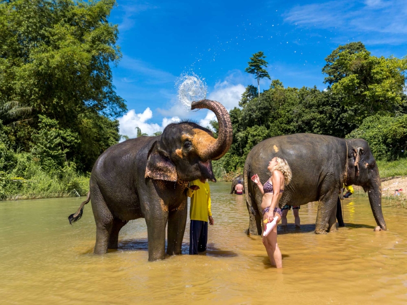 bathing with elephants