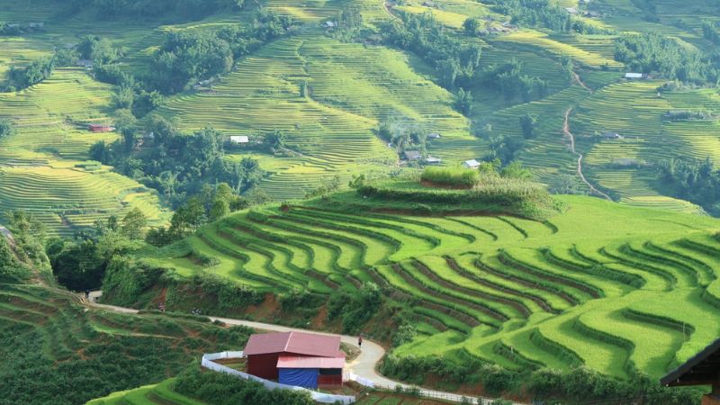 Sapa Vietnam