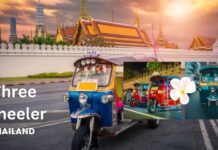 Three Wheeler in Thailand: Exploring Tuk-Tuk Culture Three Wheeler in Thailand